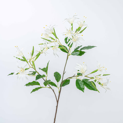 29" STEPHANOTIS SPRAY