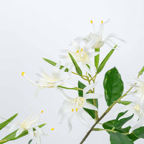 29" STEPHANOTIS SPRAY