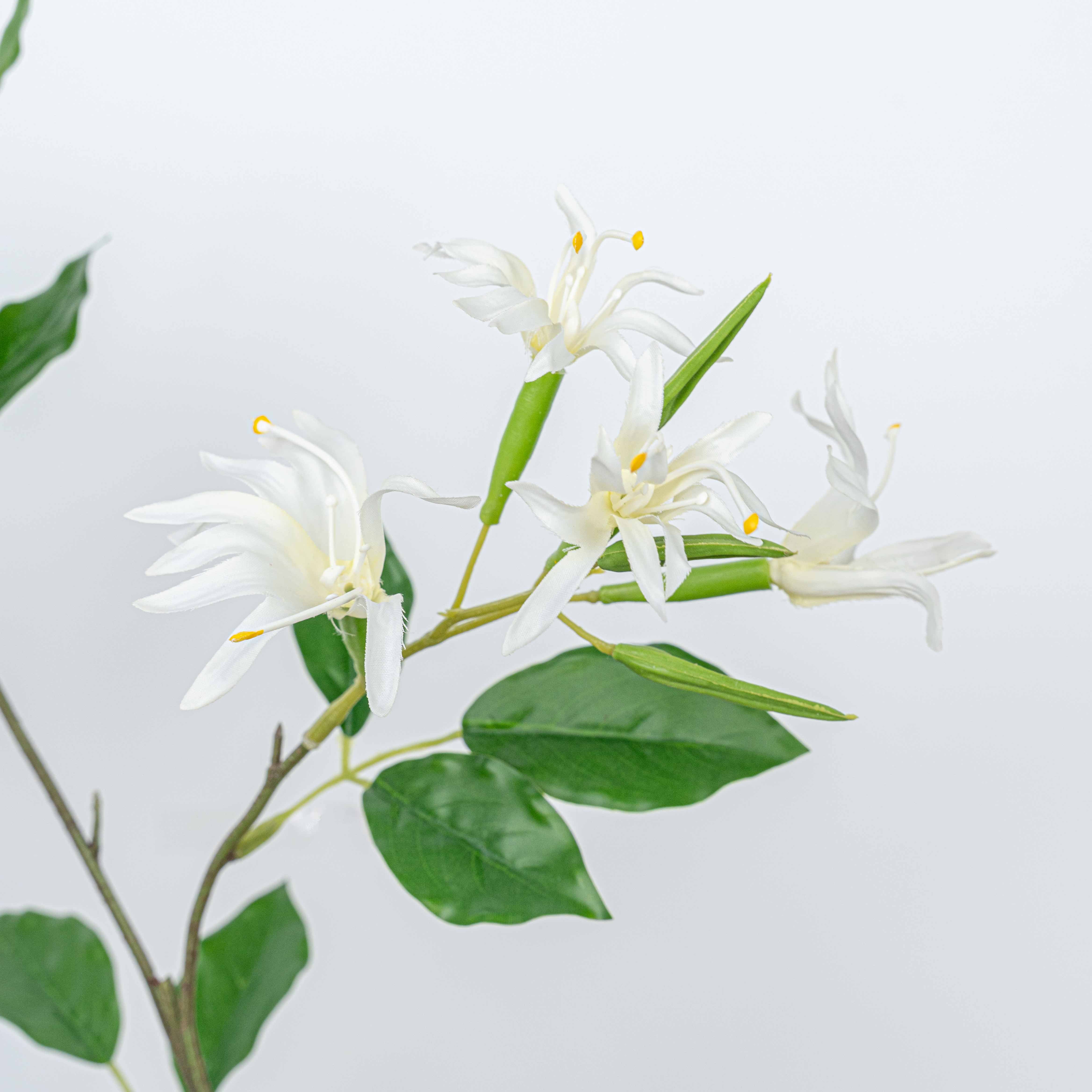 29" STEPHANOTIS SPRAY