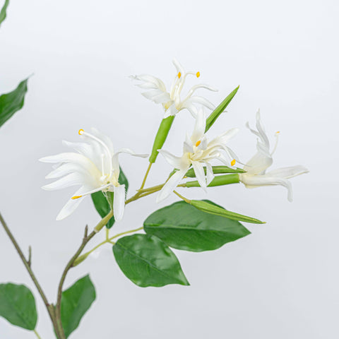 29" STEPHANOTIS SPRAY