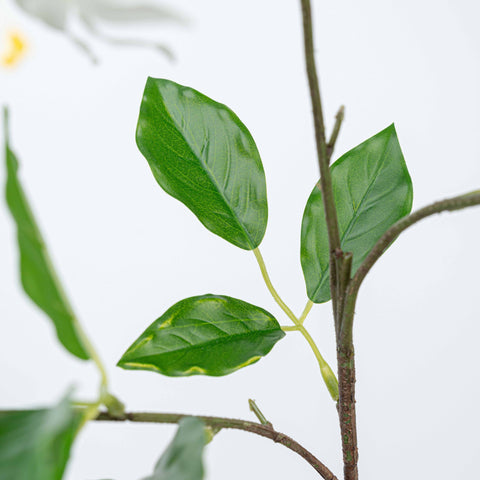 29" STEPHANOTIS SPRAY