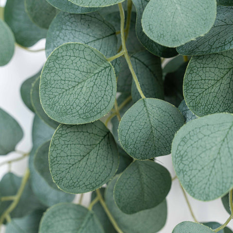 48" EUCALYPTUS HNG DROP