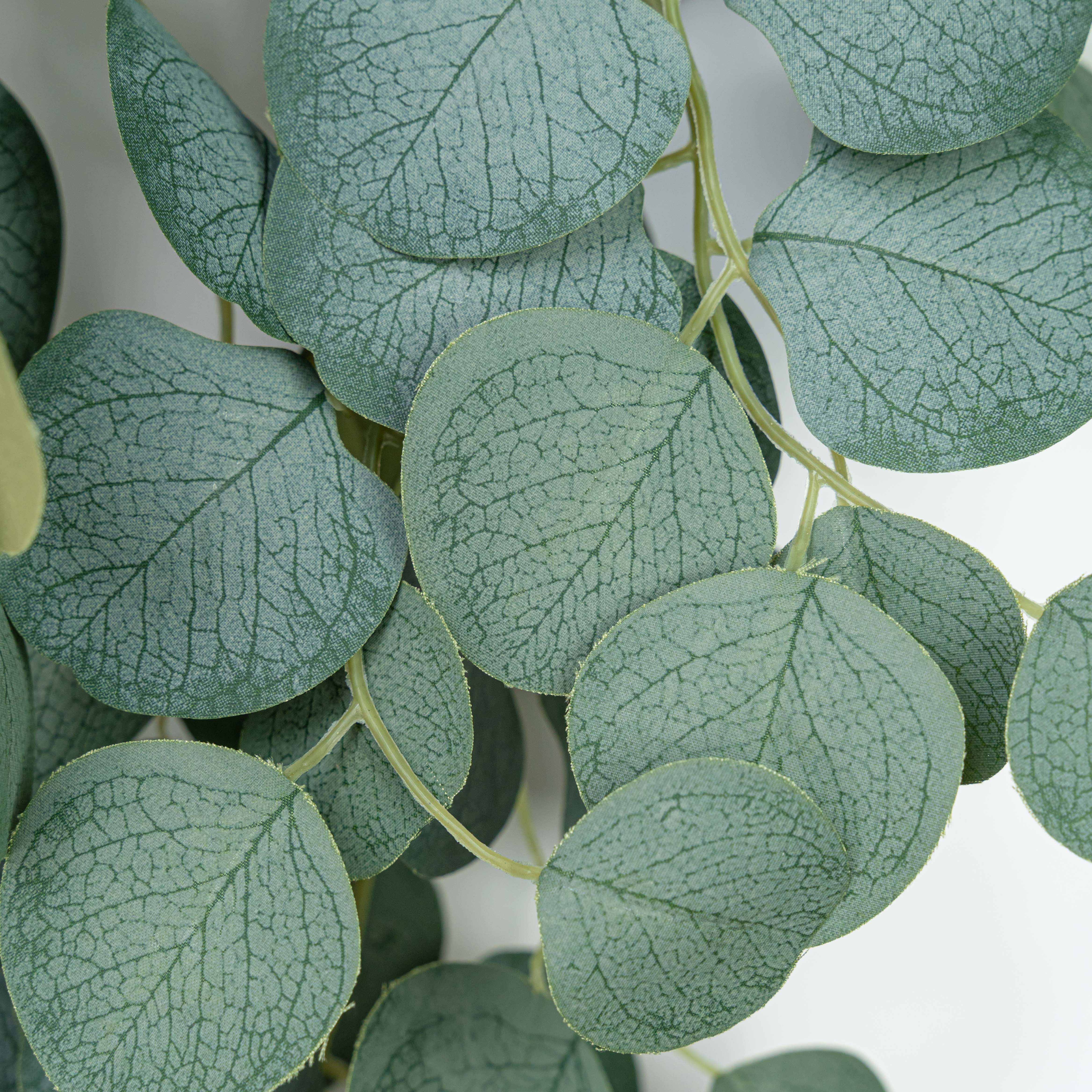 48" EUCALYPTUS HNG DROP