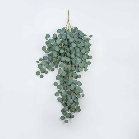 48" EUCALYPTUS HNG DROP
