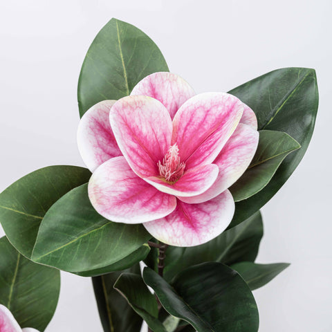 35" MAGNOLIA SPRAY WITH 2 HEADS