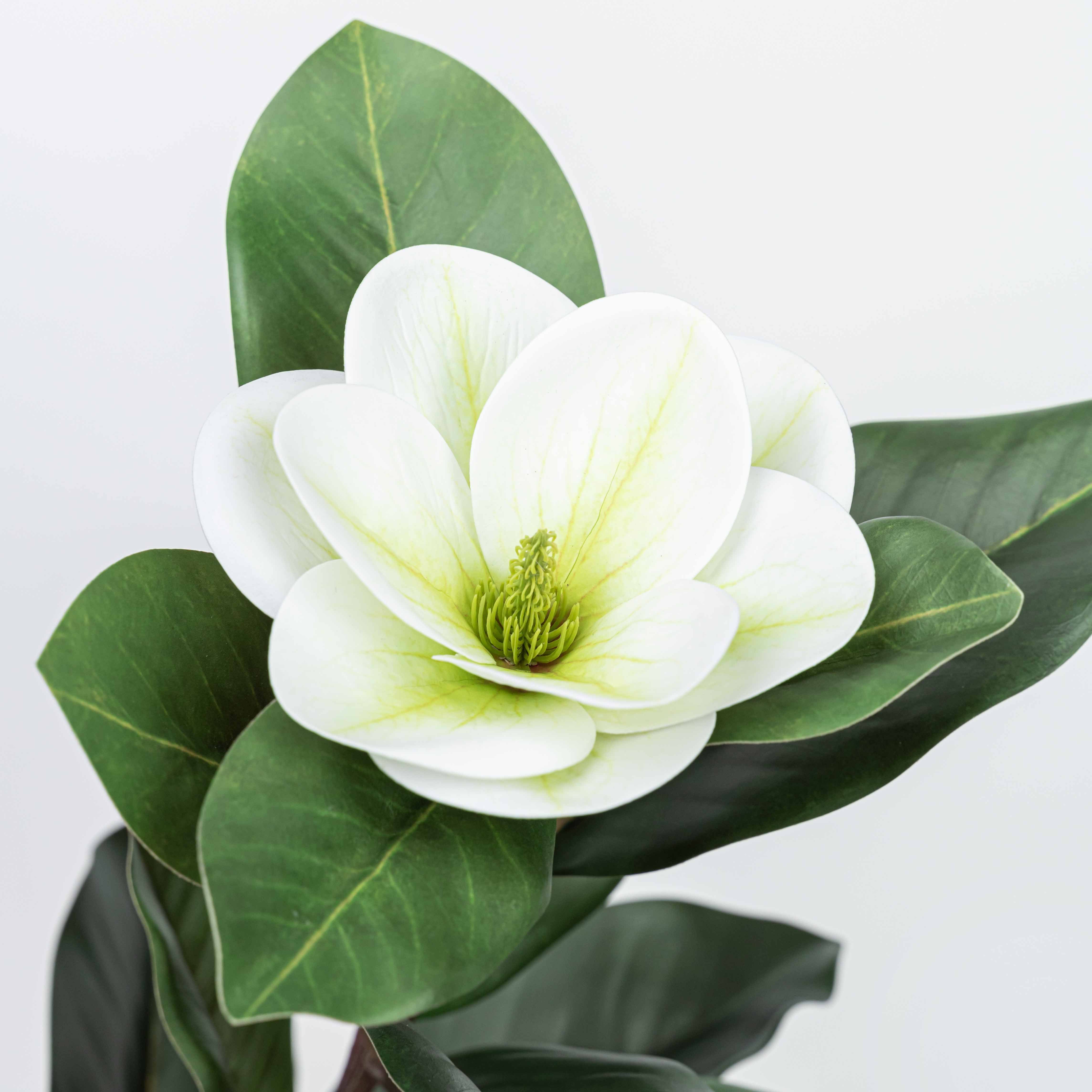 35" MAGNOLIA SPRAY WITH 2 HEADS