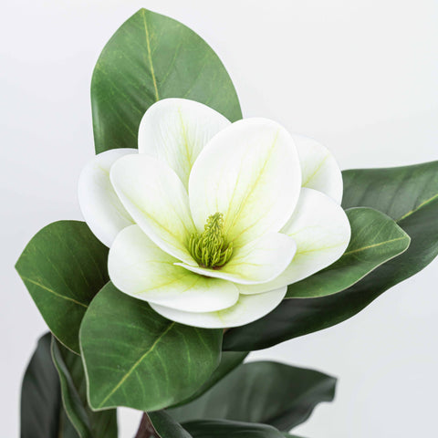 35" MAGNOLIA SPRAY WITH 2 HEADS