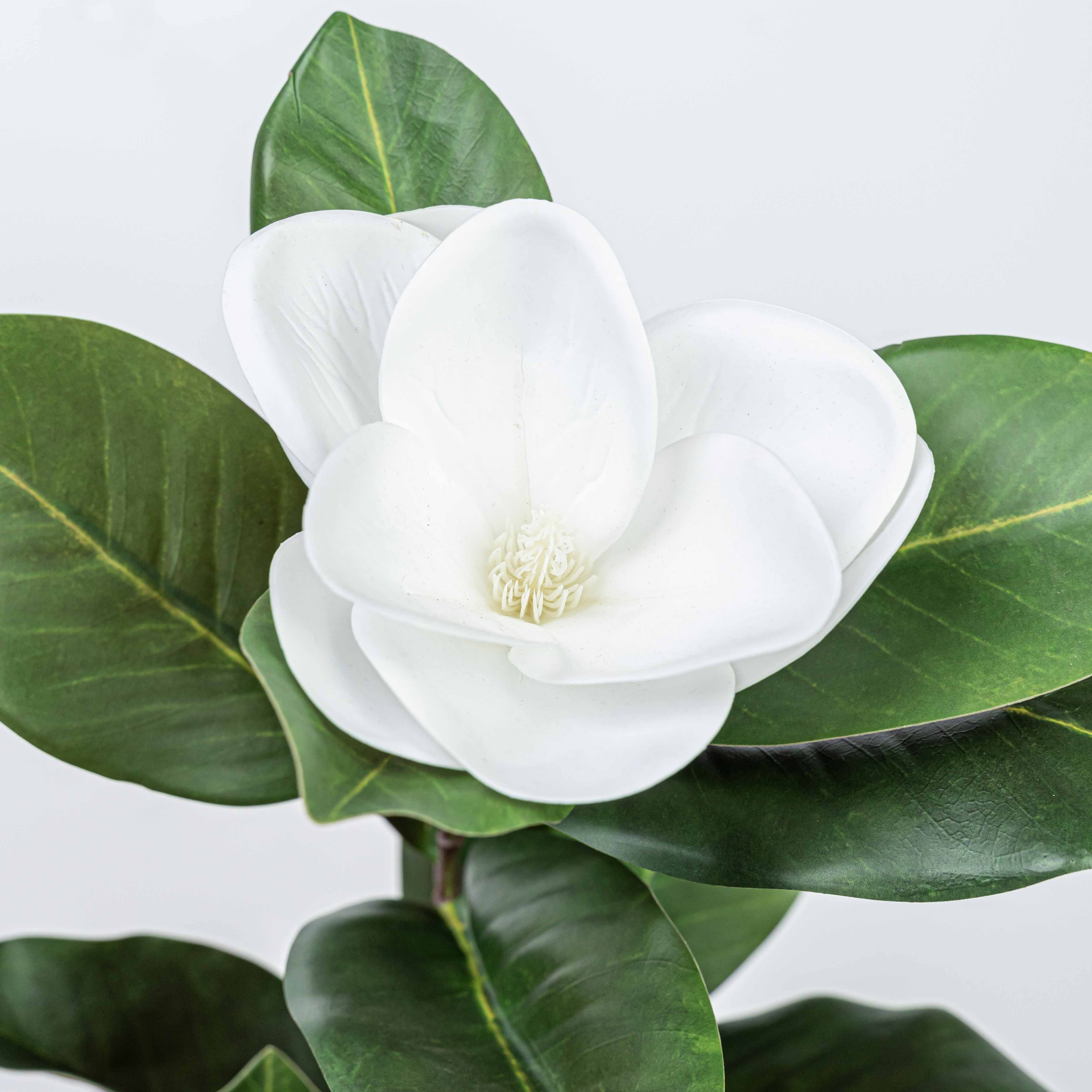 35" MAGNOLIA SPRAY WITH 2 HEADS