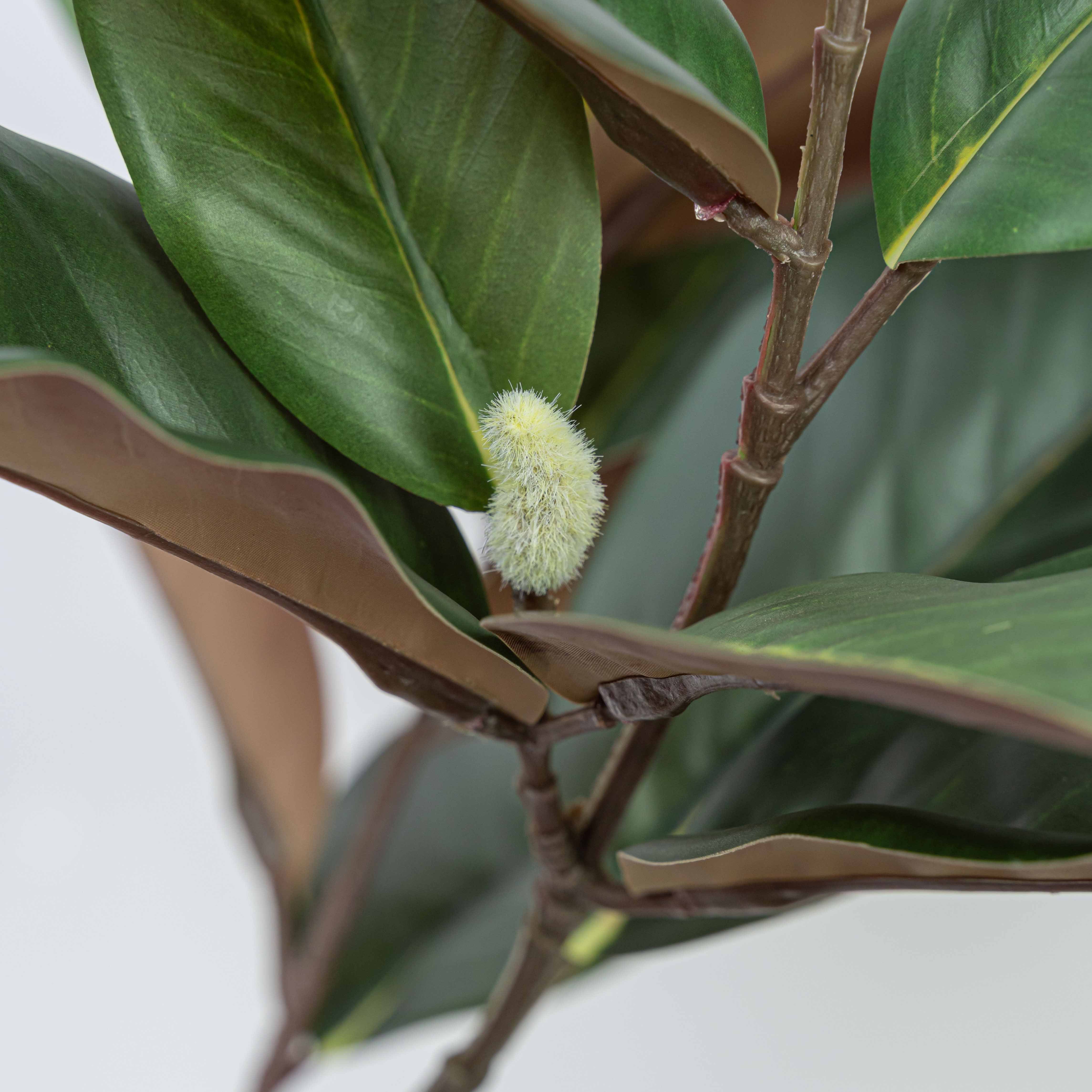 35" MAGNOLIA SPRAY WITH 2 HEADS