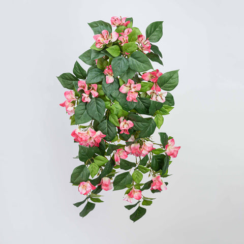 24.5" BOUGAINVILLEA BUSH