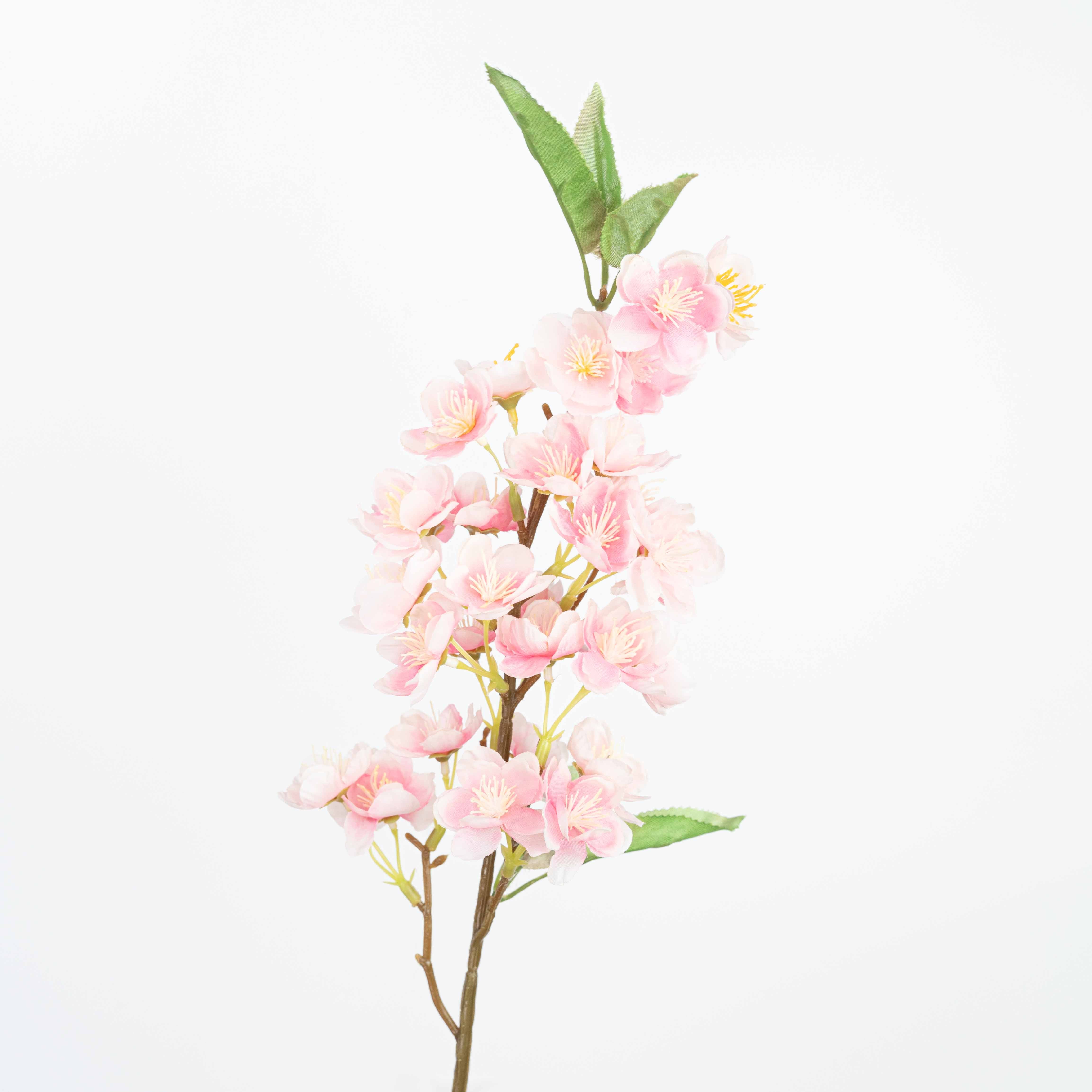 20" CHERRYBLOSSOM SPRAY
