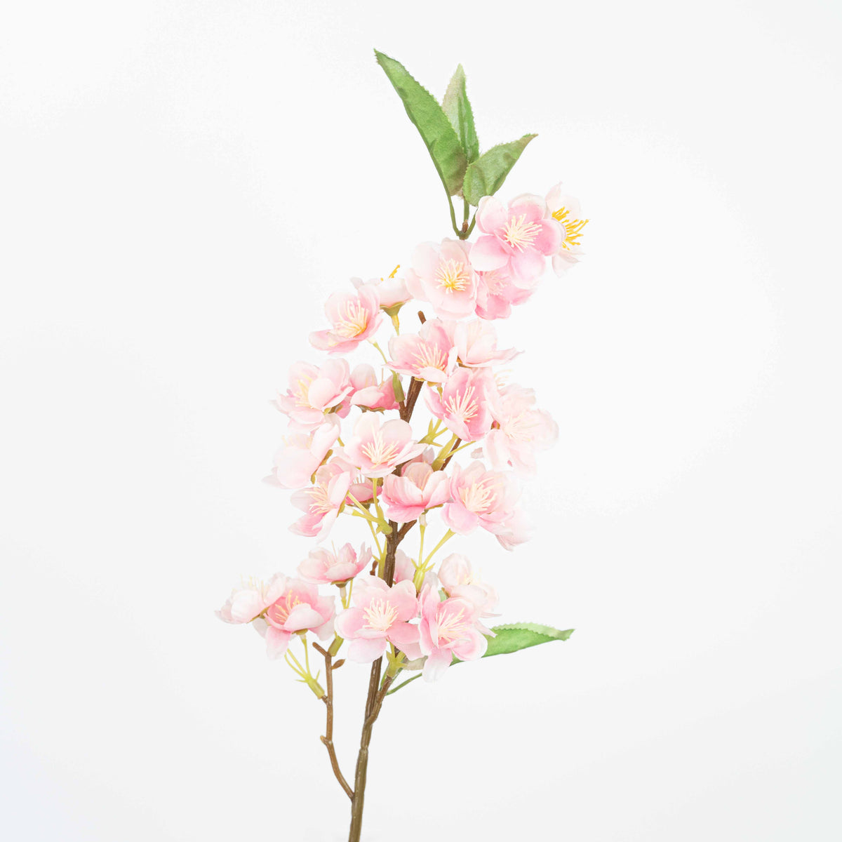 20" CHERRYBLOSSOM SPRAY