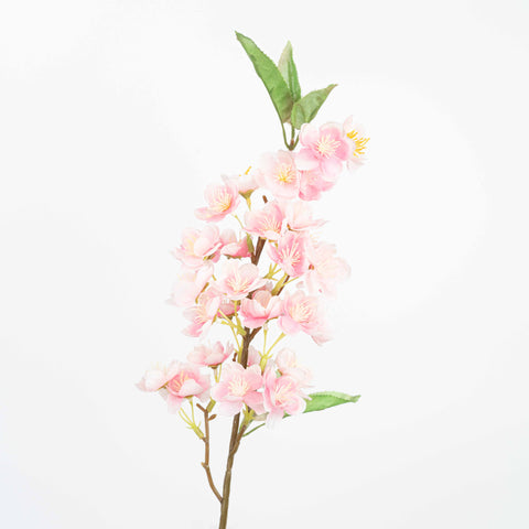 20" CHERRYBLOSSOM SPRAY