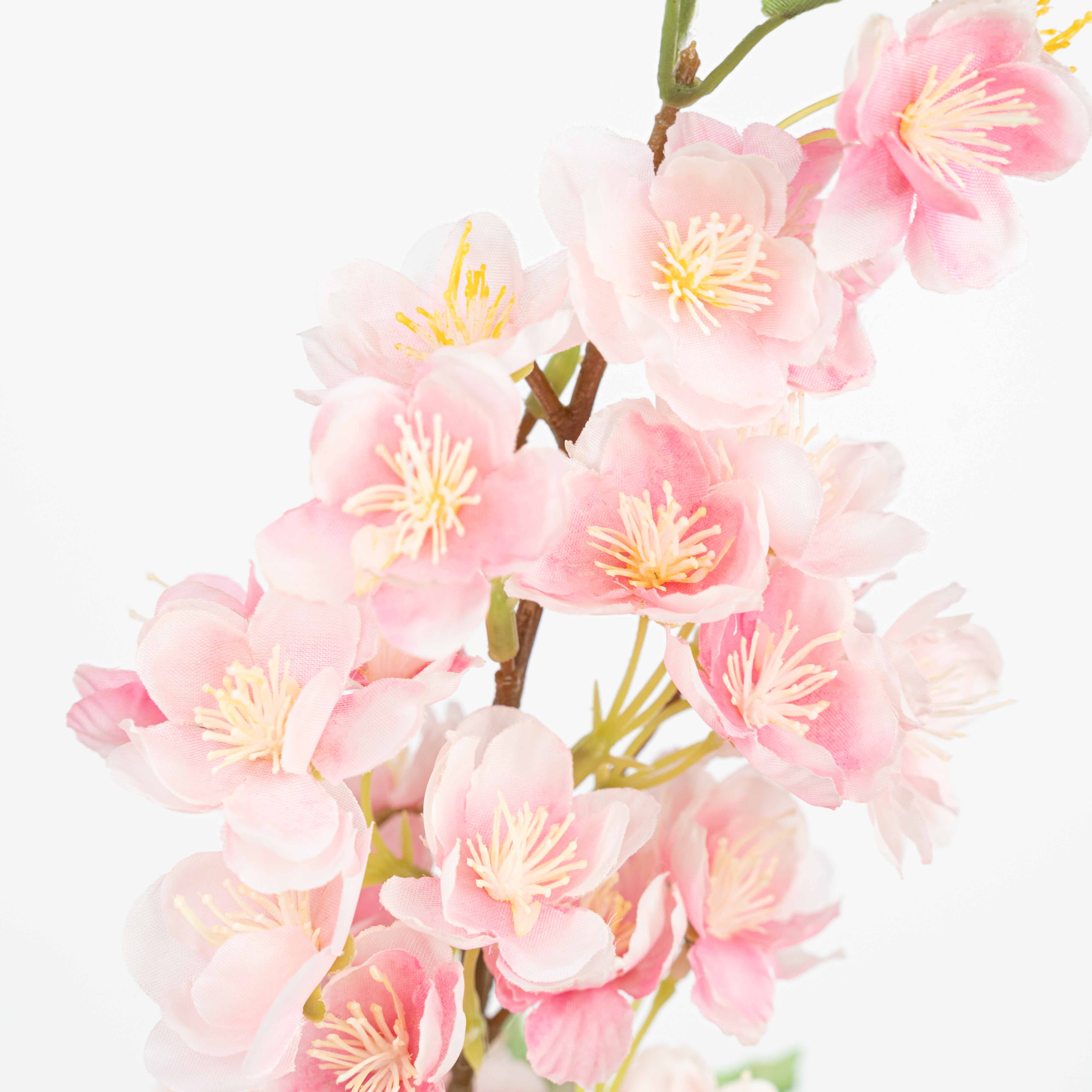 20" CHERRYBLOSSOM SPRAY