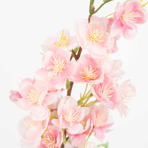 20" CHERRYBLOSSOM SPRAY