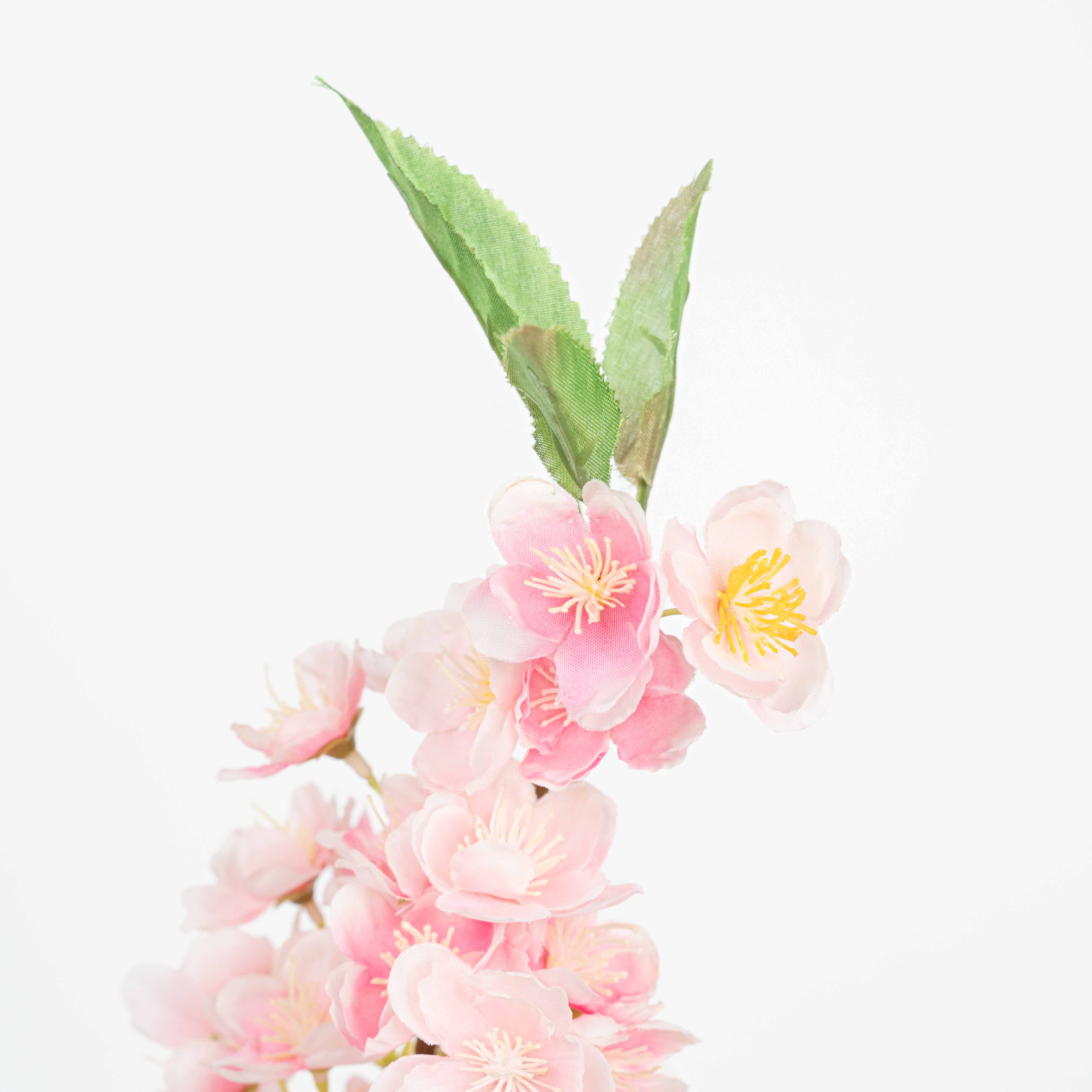 20" CHERRYBLOSSOM SPRAY