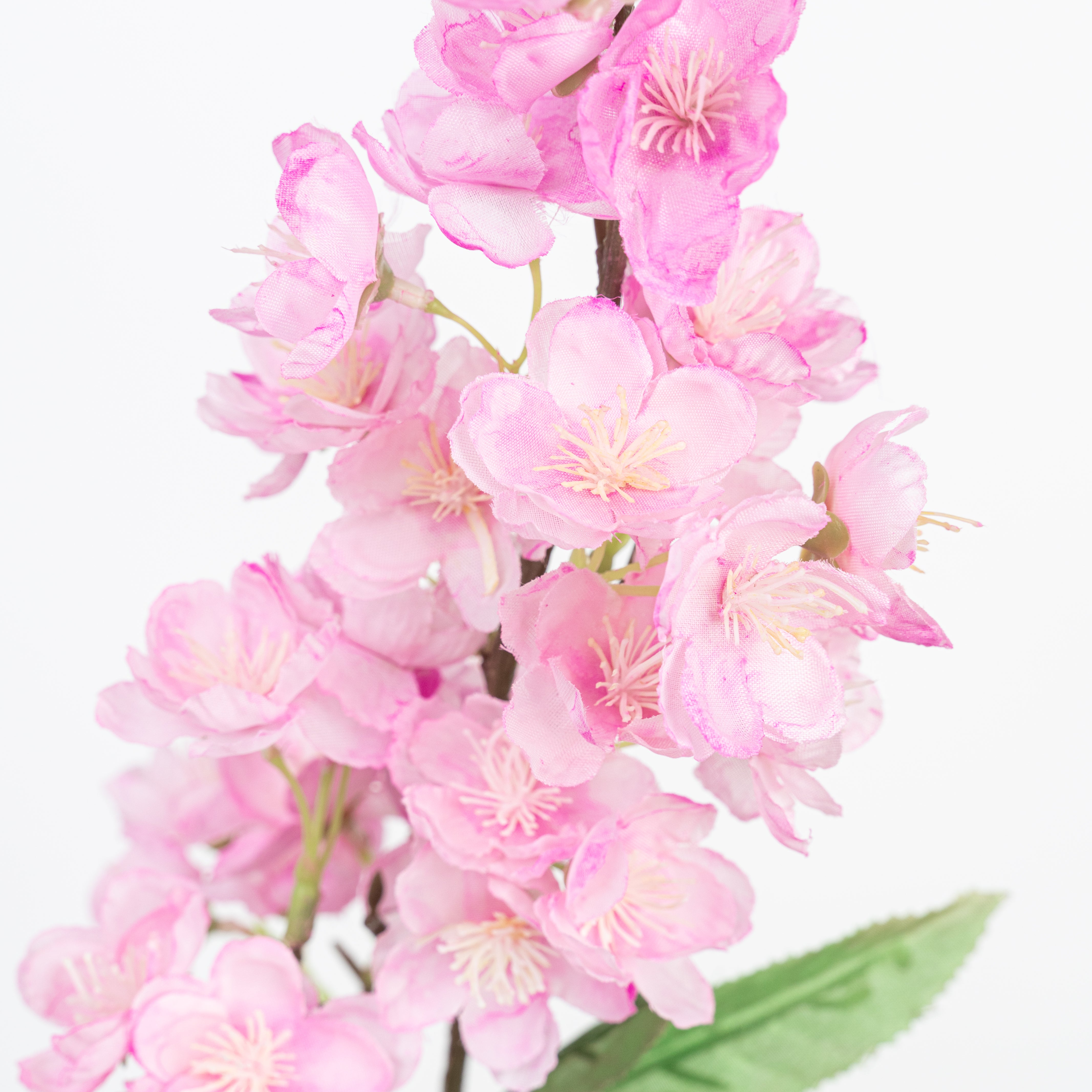 20" CHERRYBLOSSOM SPRAY