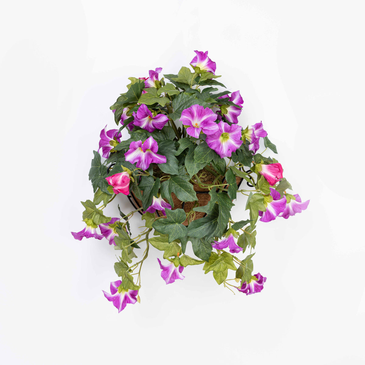 18"L X 15"W PETUNIA WALL PC