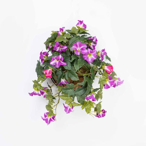 18"L X 15"W PETUNIA WALL PC