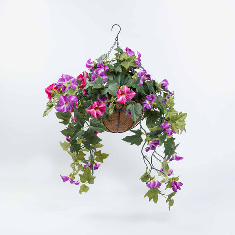 16"L X 16"W/23"L X 23"W PETUNIA HANGING BASKET