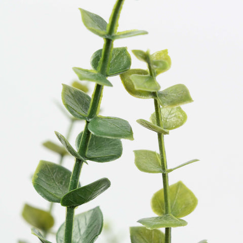 21" EUCALYPTUS LEAF BUSH X 5