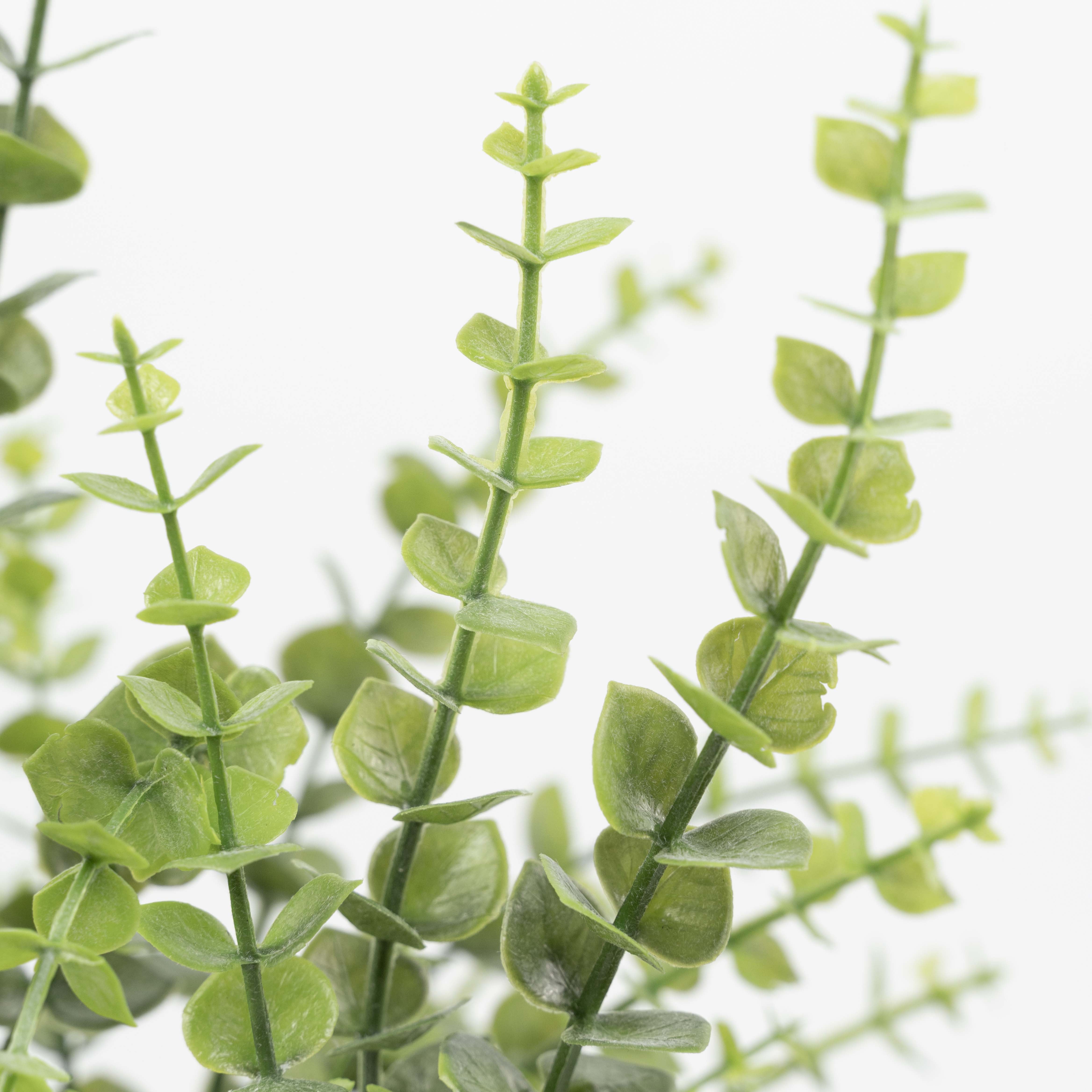 21" EUCALYPTUS LEAF BUSH X 5