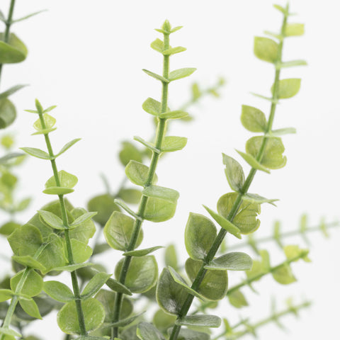 21" EUCALYPTUS LEAF BUSH X 5