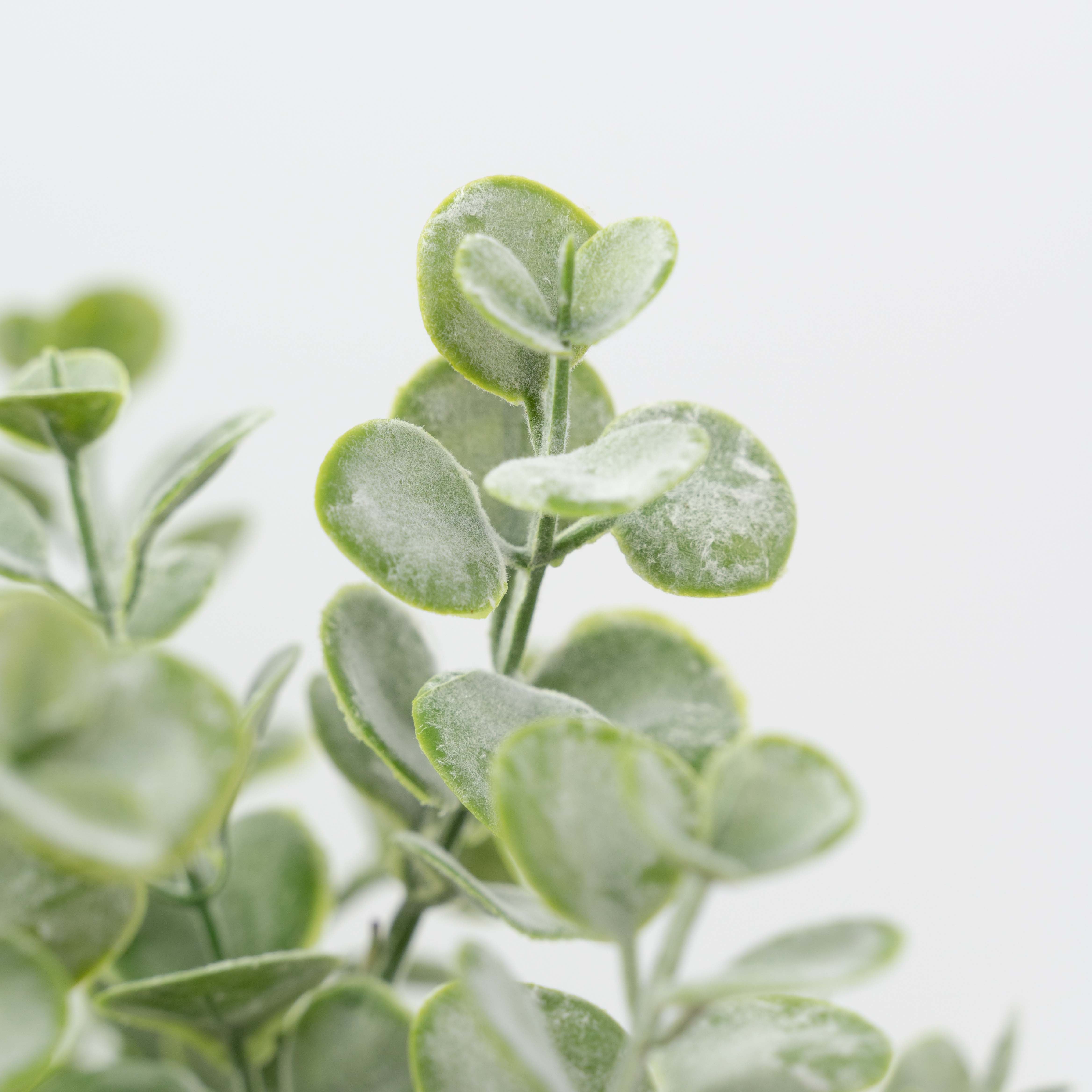 21" FLOCKED EUCALYPTUS LEAF BUSH X 7