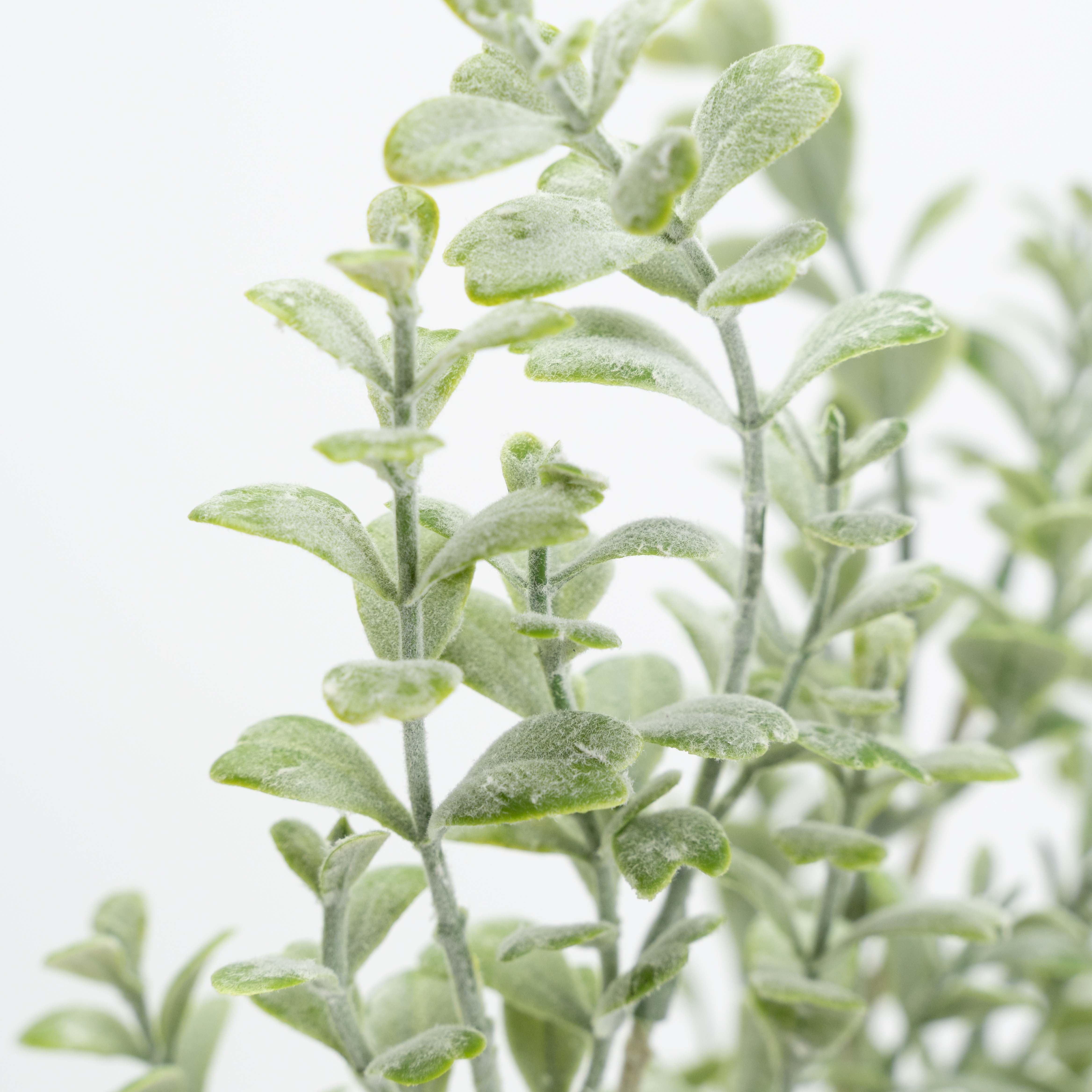 21" FLOCKED BOXWOOD BUSH X 7