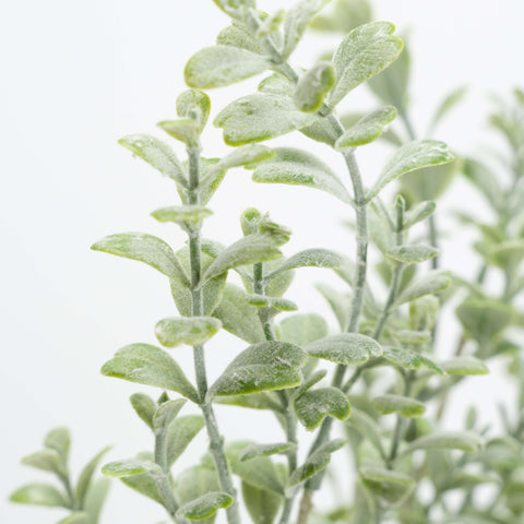 21" FLOCKED BOXWOOD BUSH X 7