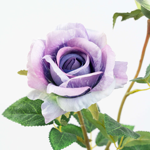 25" ROSE SPRAY