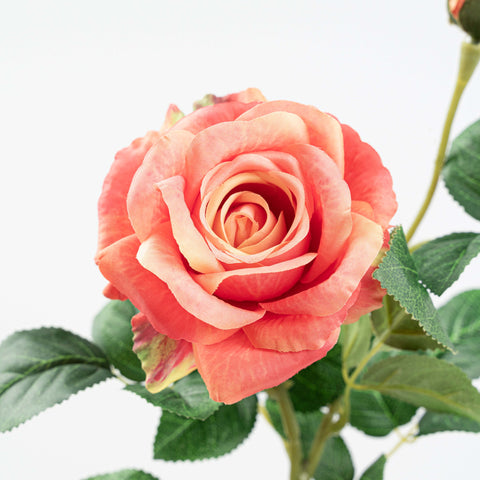25" ROSE SPRAY