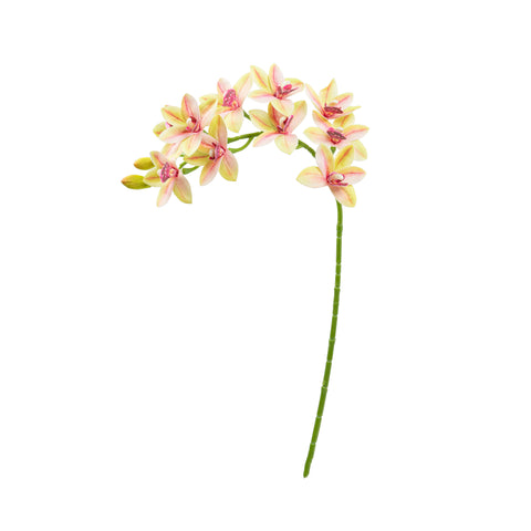 29" CYMBIDIUM ORCHID SPRAY