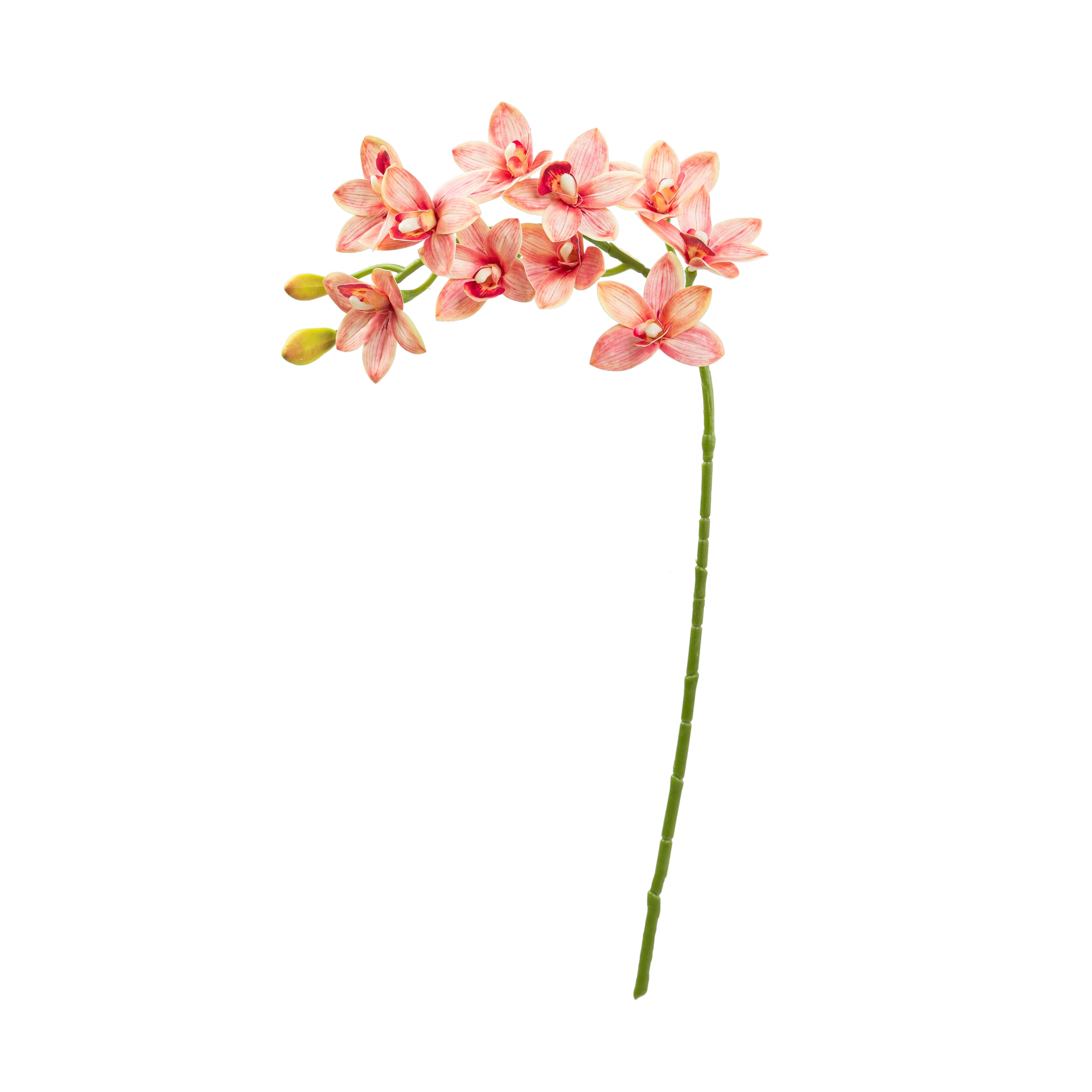 29" CYMBIDIUM ORCHID SPRAY