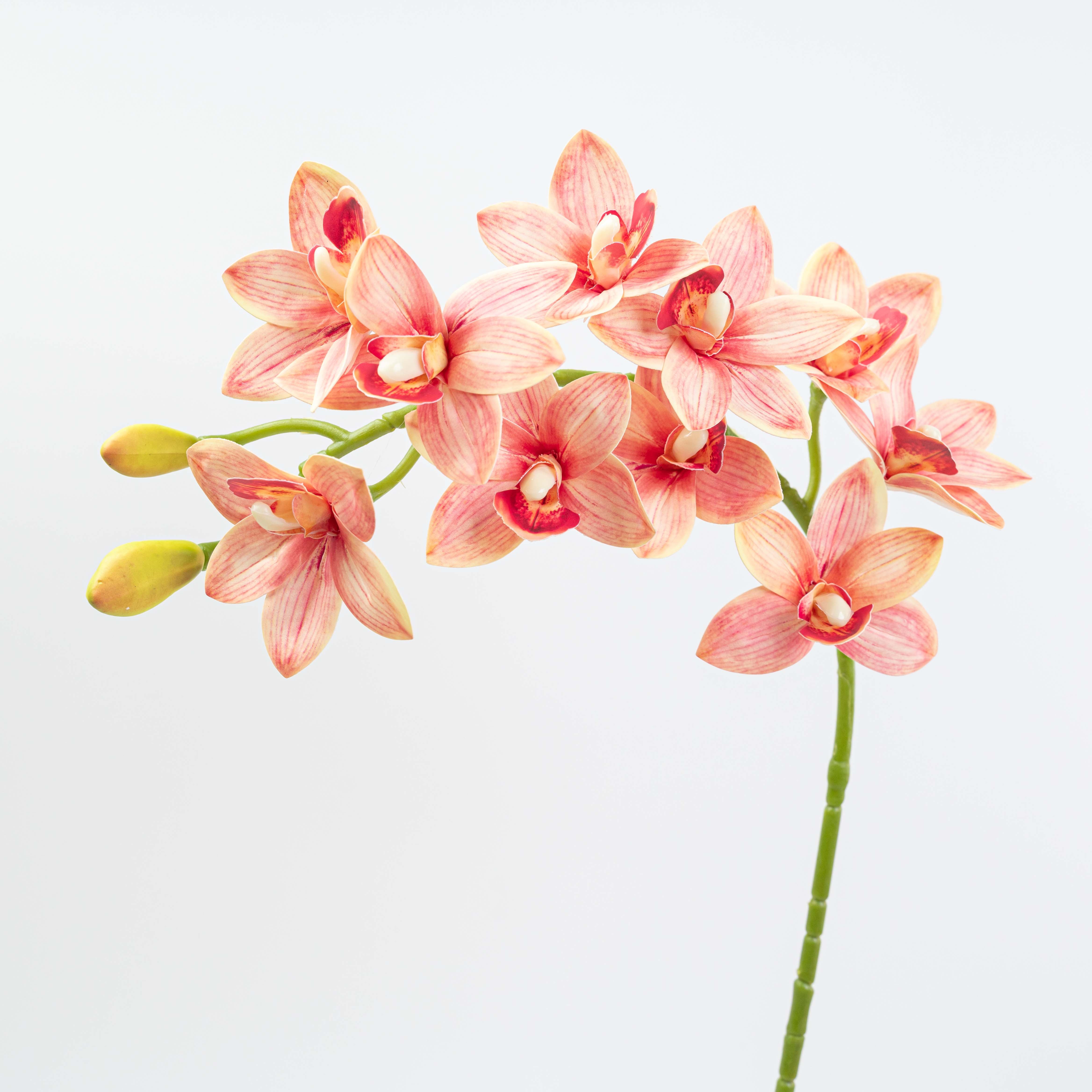 29" CYMBIDIUM ORCHID SPRAY