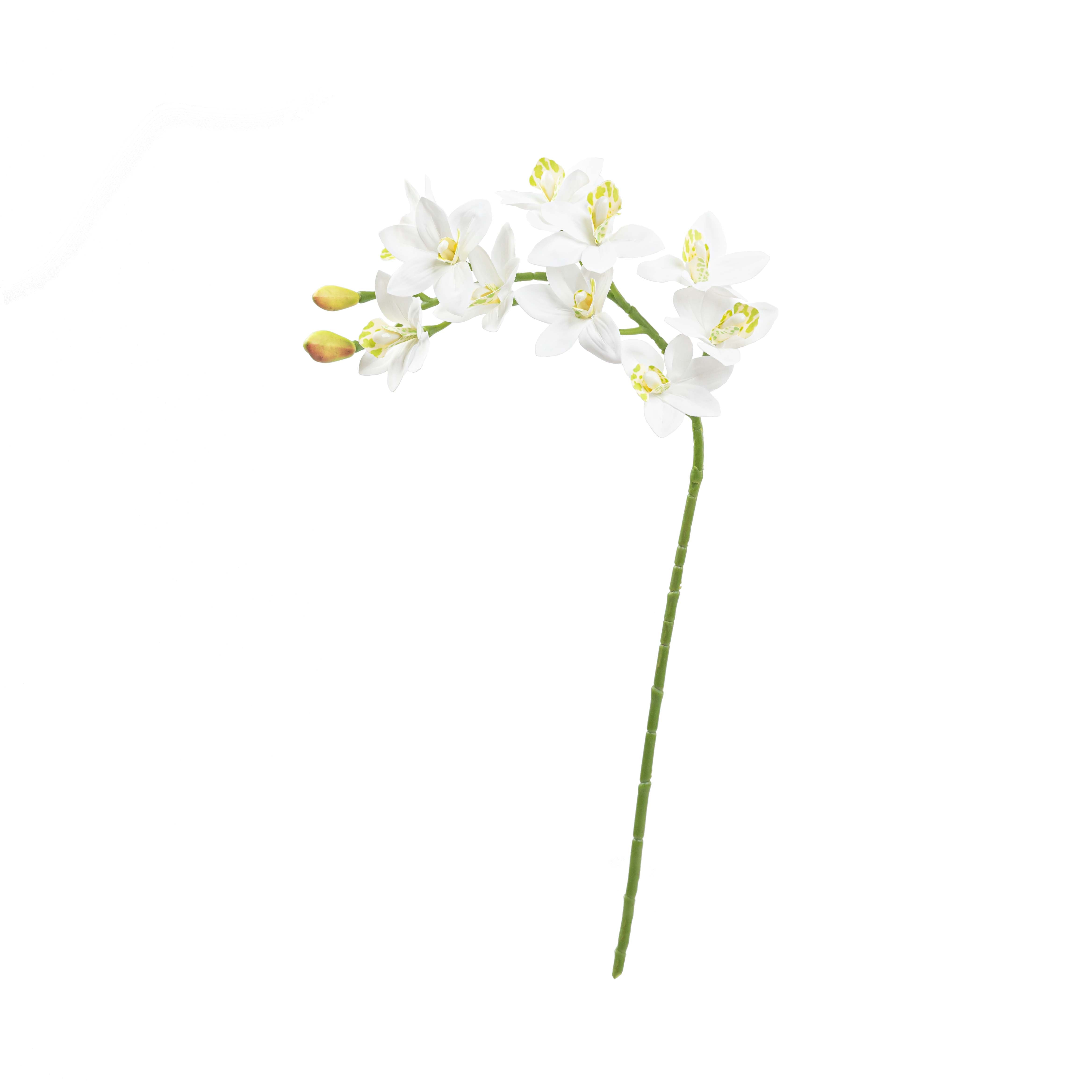 29" CYMBIDIUM ORCHID SPRAY