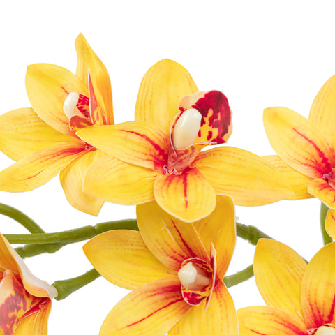 29" CYMBIDIUM ORCHID SPRAY