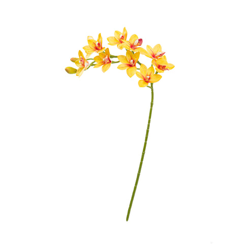 29" CYMBIDIUM ORCHID SPRAY