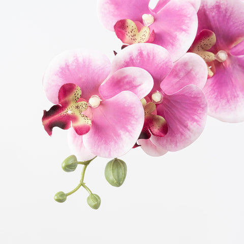34" PHALAENOPSIS ORCHID SPRAY