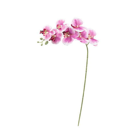34" PHALAENOPSIS ORCHID SPRAY