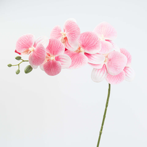 34" PHALAENOPSIS ORCHID SPRAY