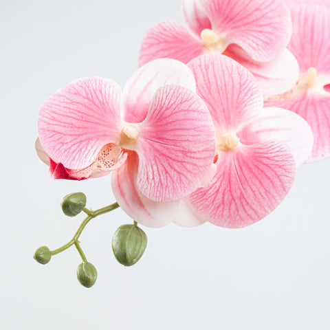 34" PHALAENOPSIS ORCHID SPRAY