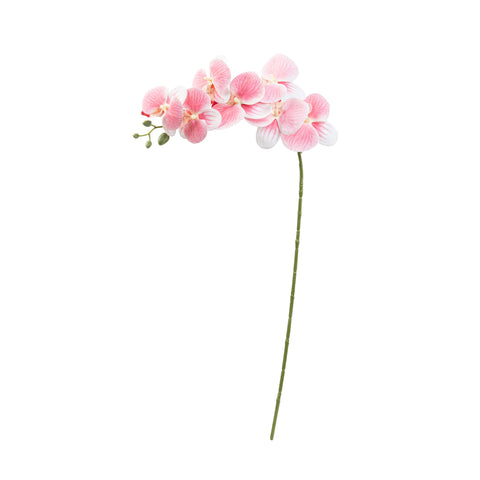 34" PHALAENOPSIS ORCHID SPRAY