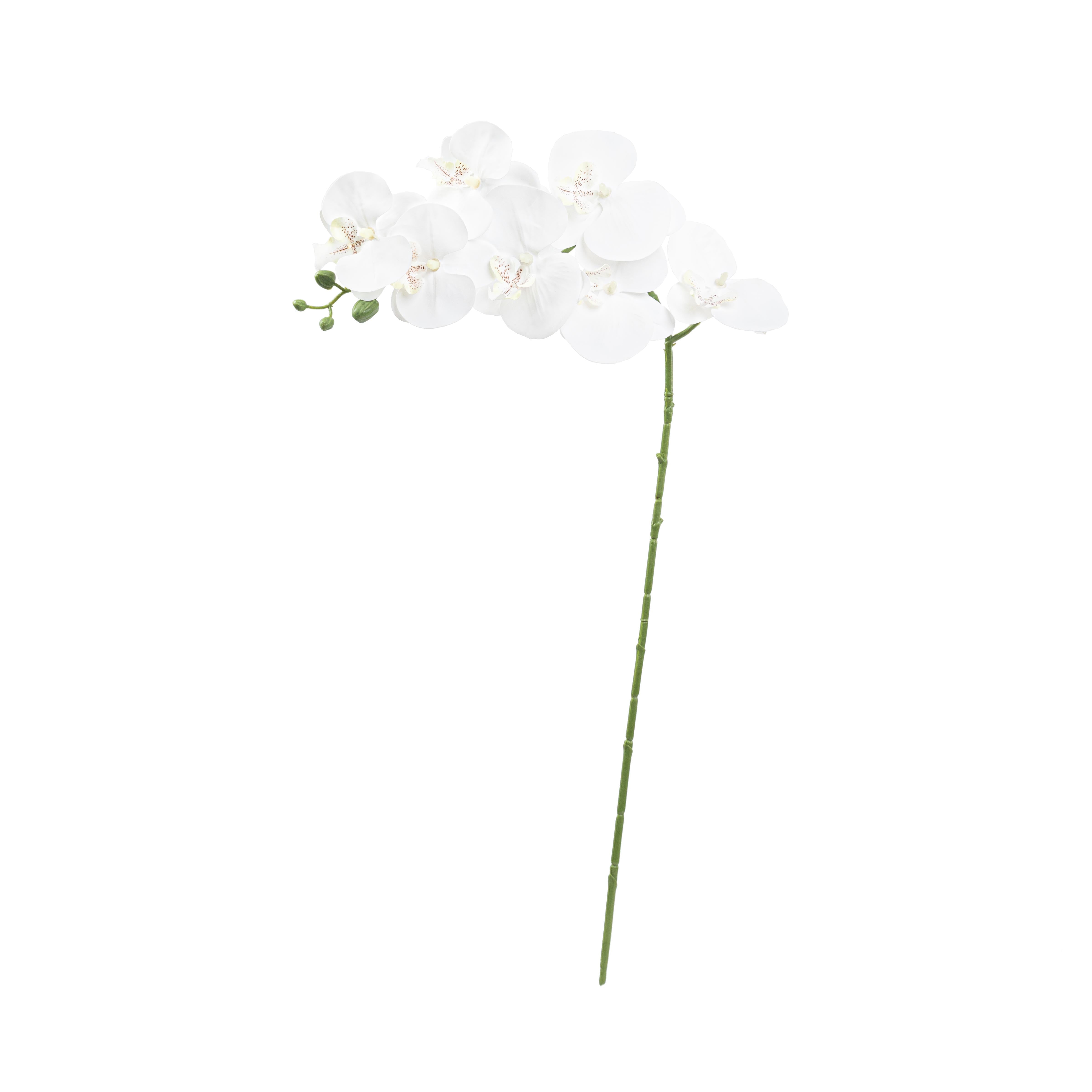 34" PHALAENOPSIS ORCHID SPRAY