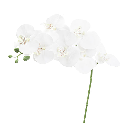34" PHALAENOPSIS ORCHID SPRAY