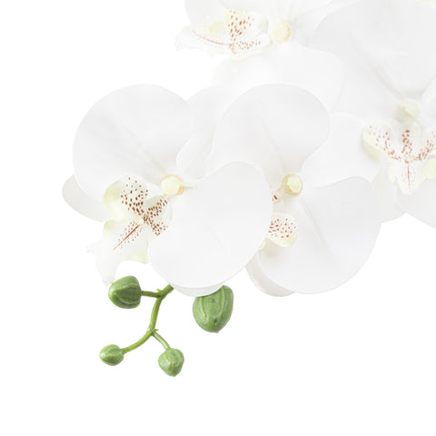 34" PHALAENOPSIS ORCHID SPRAY
