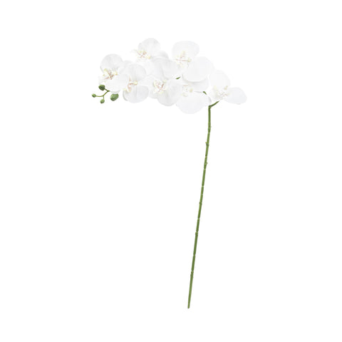 34" PHALAENOPSIS ORCHID SPRAY