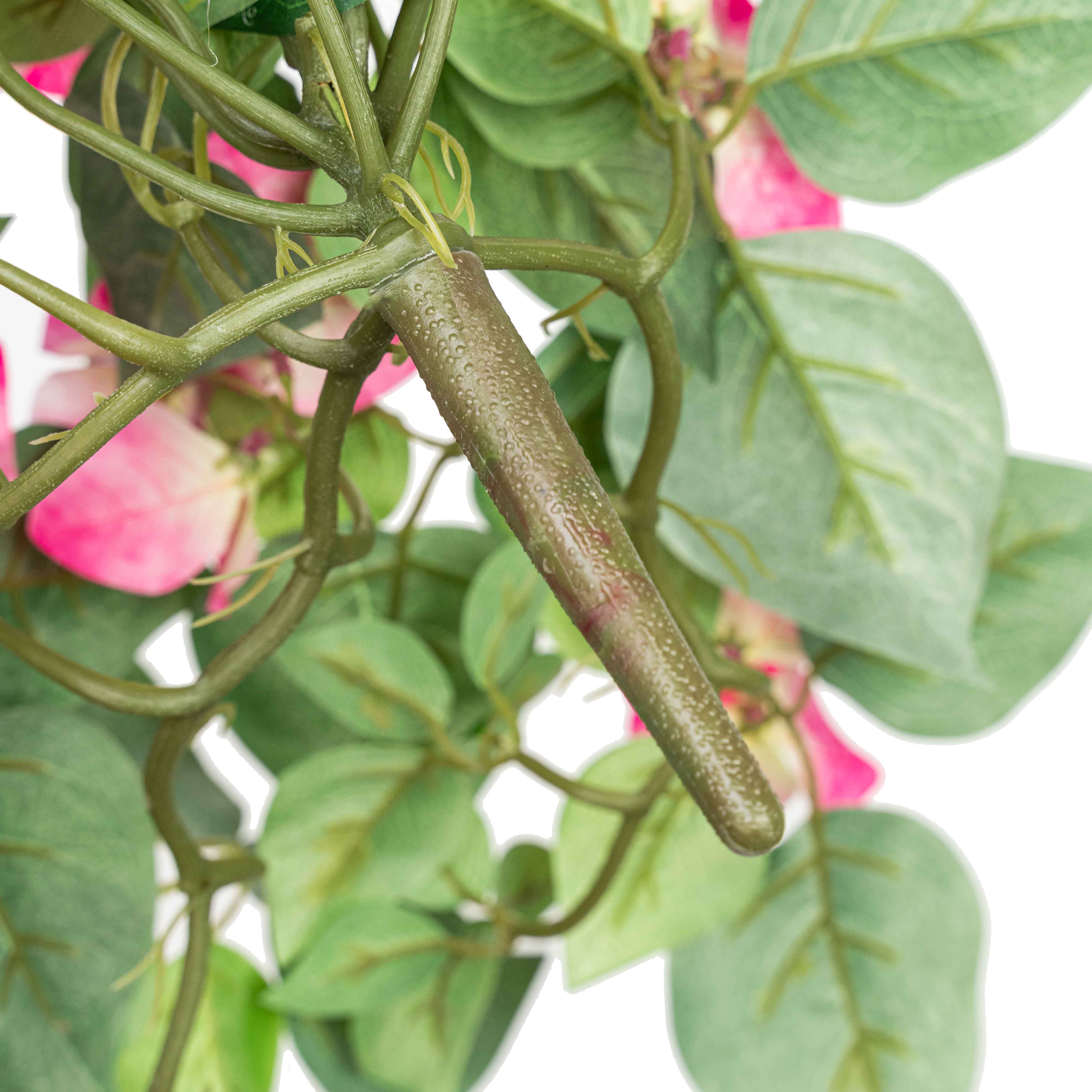 19" BOUGAINVILLEA BUSH