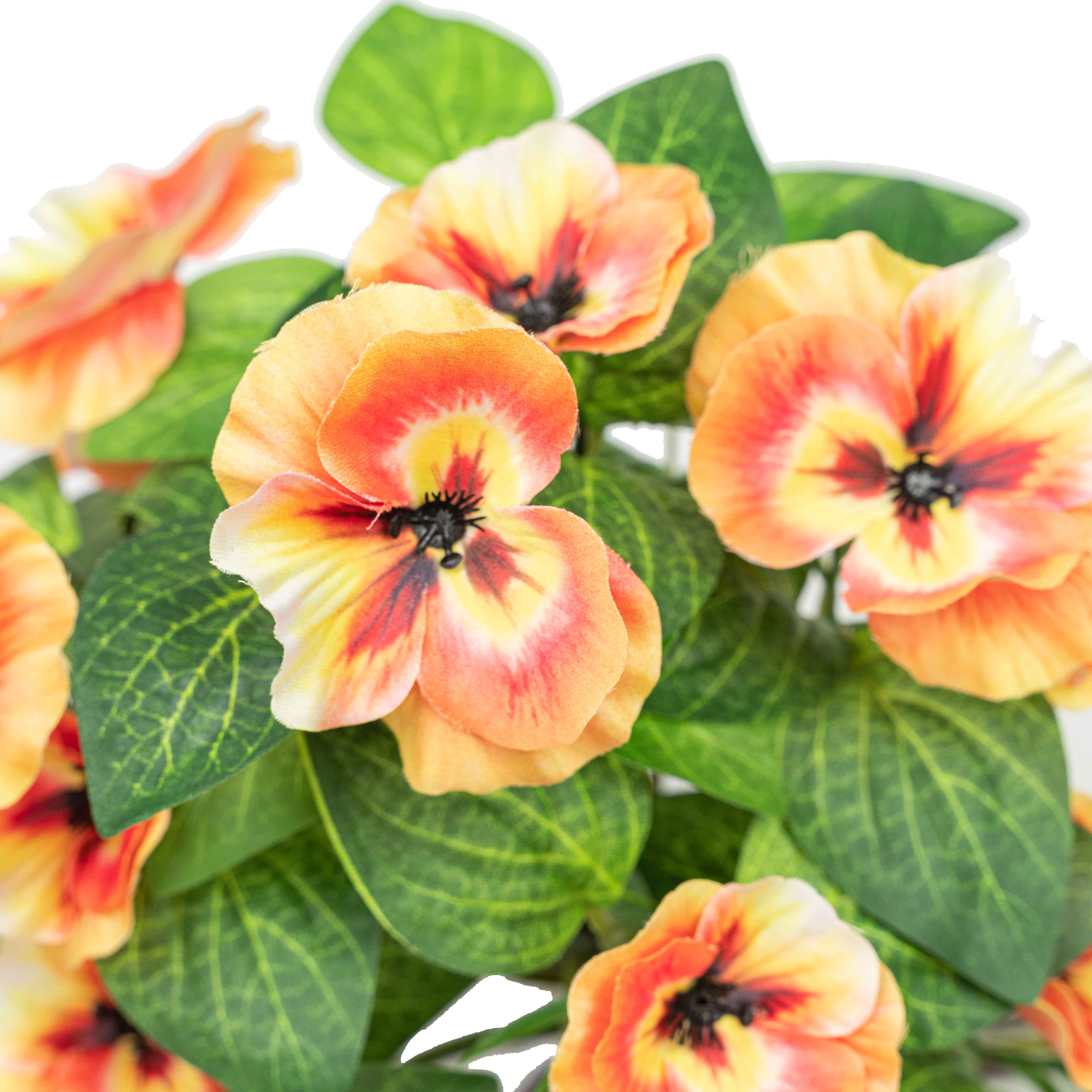 19" PANSY HANGING BUSH