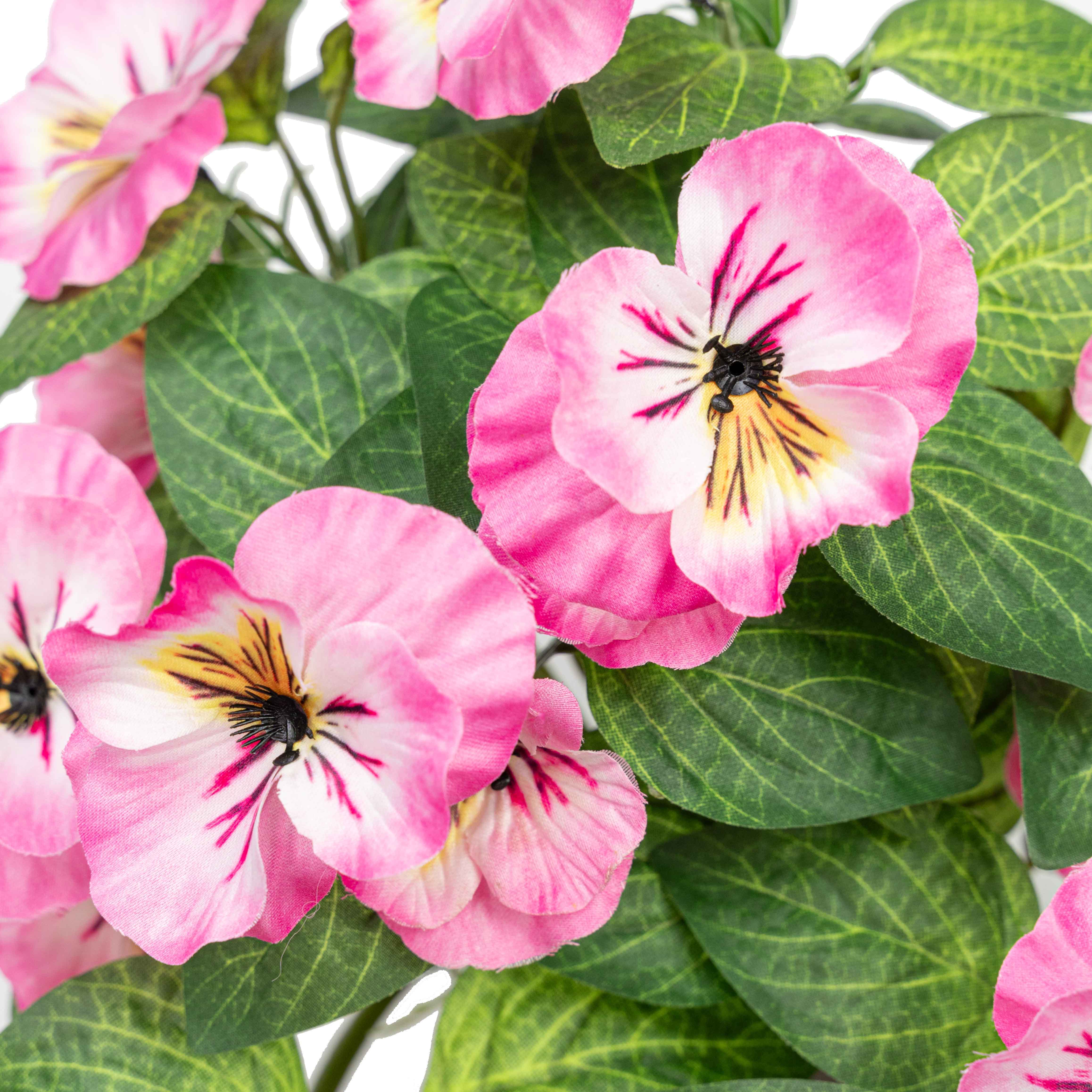 19" PANSY HANGING BUSH